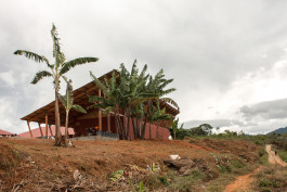 Paulo Vale Afonso